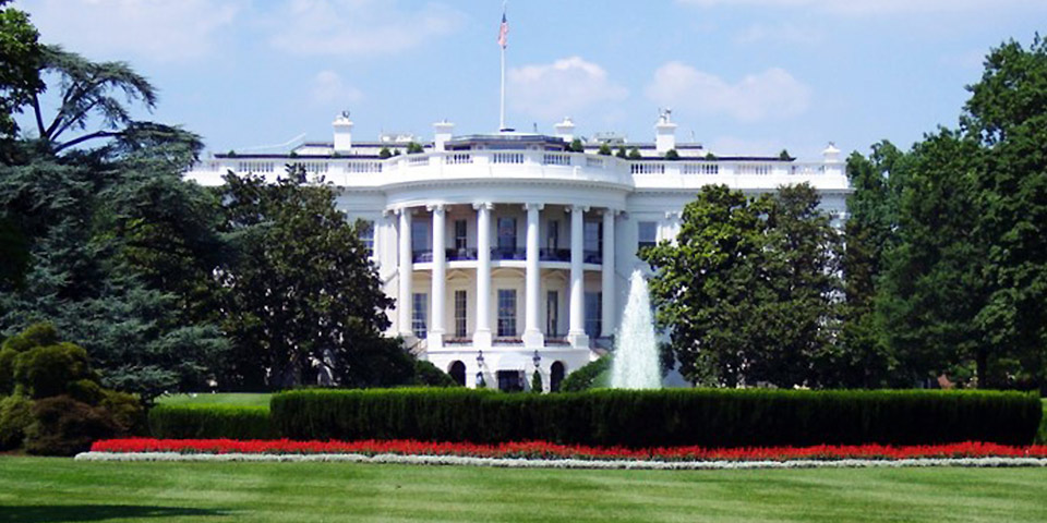 government